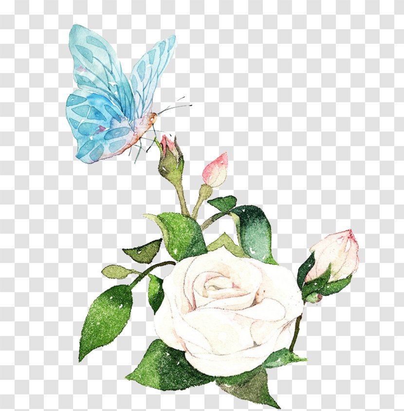 Watercolor Painting Download - Flower - Butterfly Transparent PNG