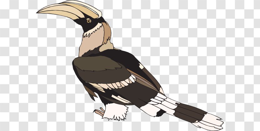 Hornbill Clip Art - Great - Redbilled Transparent PNG