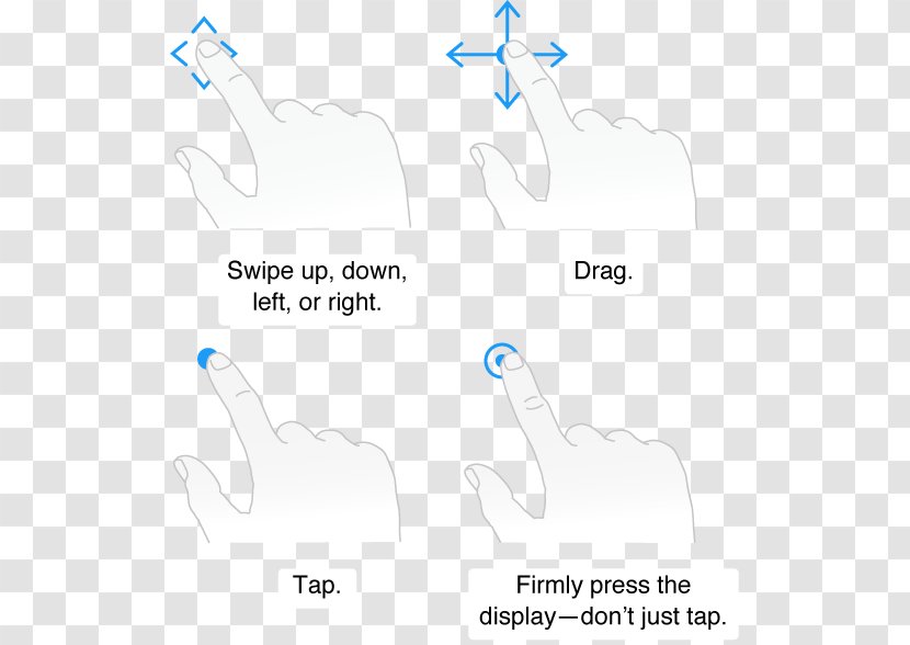 Mammal Finger - Cartoon - Design Transparent PNG