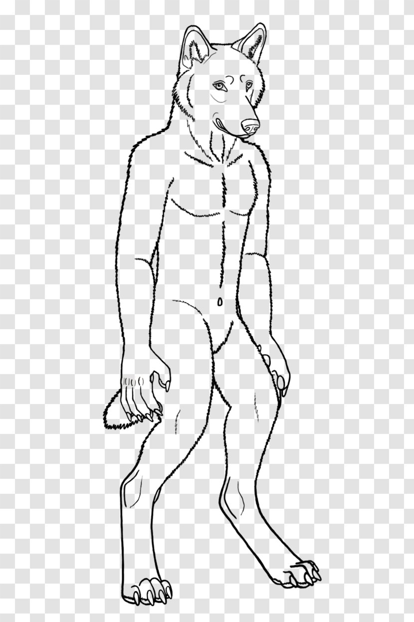 Line Art Drawing Gray Wolf Werewolf - Standing Transparent PNG