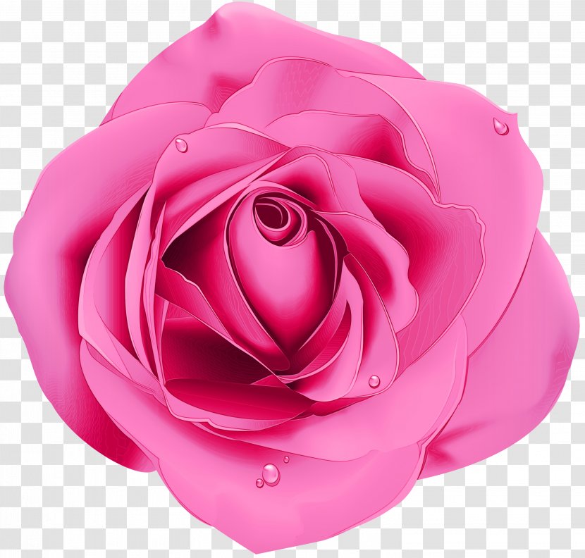 Blue Watercolor Flowers - Rose Order - Artificial Flower Camellia Transparent PNG
