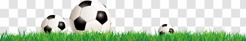 Brand Logo Grasses - Mammal - Soccer Player Background,Football Background Image Transparent PNG