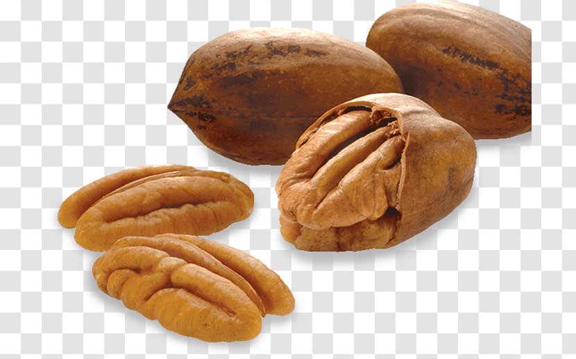 Pine Nut Pecan Almond Tree Allergy - Food Transparent PNG