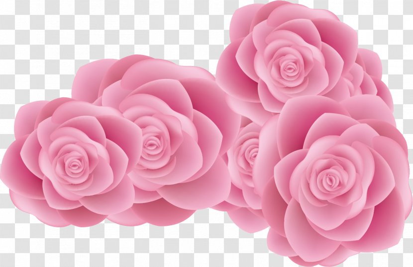 Garden Roses Centifolia Beach Rose Sea Euclidean Vector - Beautiful Creative Transparent PNG