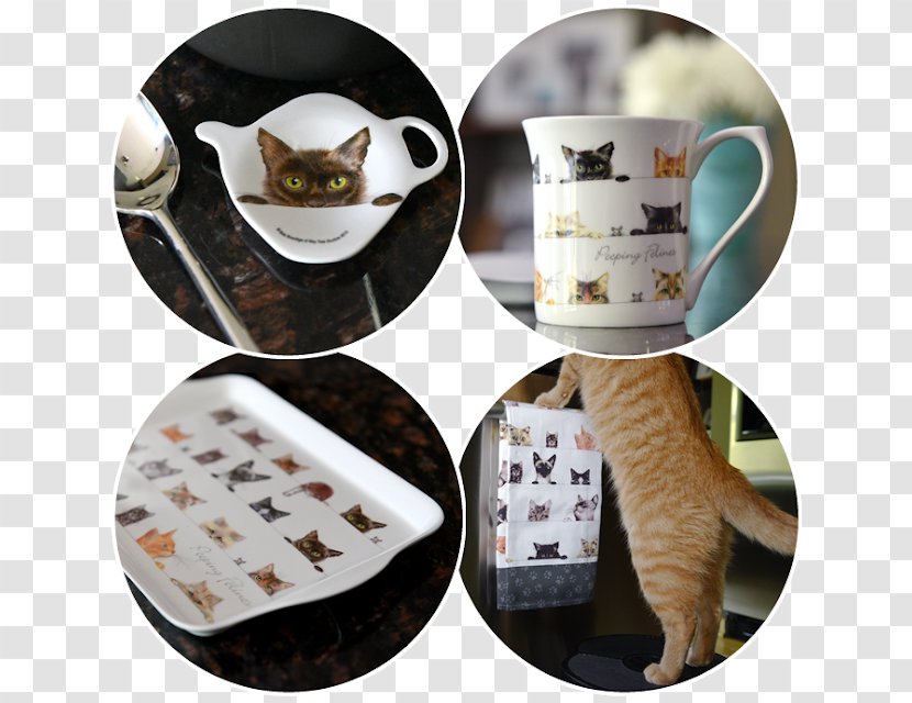 Coffee Cup Mug Cat Tea Saucer - Food Transparent PNG