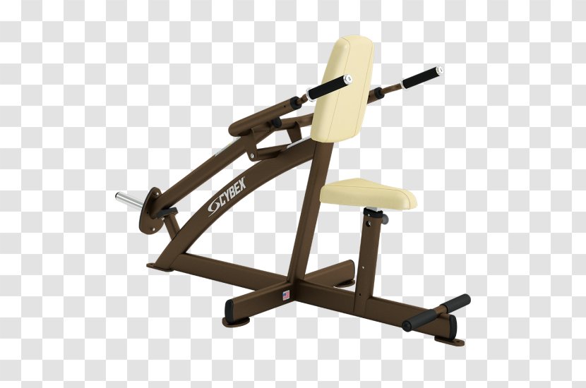 Exercise Equipment Fitness Centre Cybex International Machine - Physical - Triceps Transparent PNG