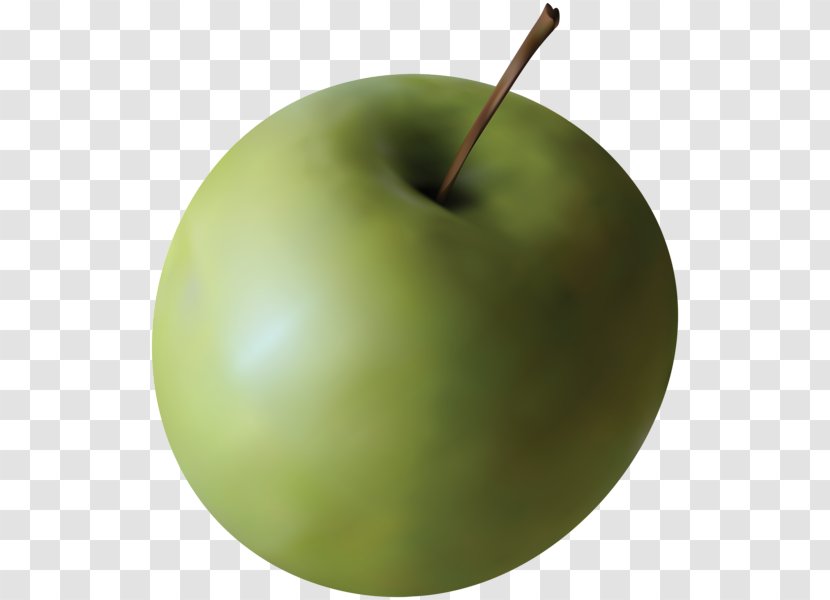Granny Smith Clip Art Stock.xchng Green - Malus - Apple Transparent PNG