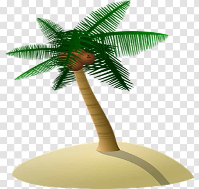 Arecaceae Coconut Tree - Arecales - Island Transparent PNG