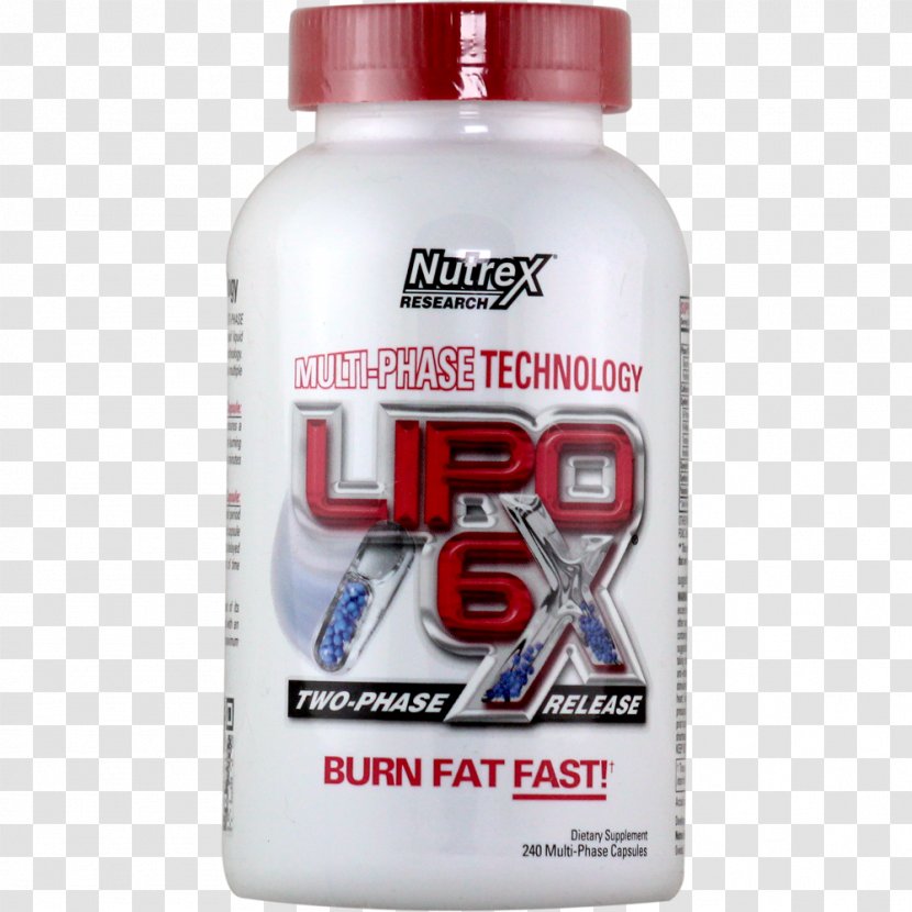 Dietary Supplement Bodybuilding Internet Artikel Capsule - Price - Lipo Transparent PNG