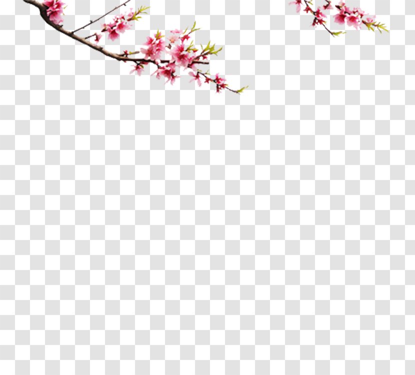 Choya Umeshu Computer Software Clip Art - Twig - Flower Pattern Transparent PNG