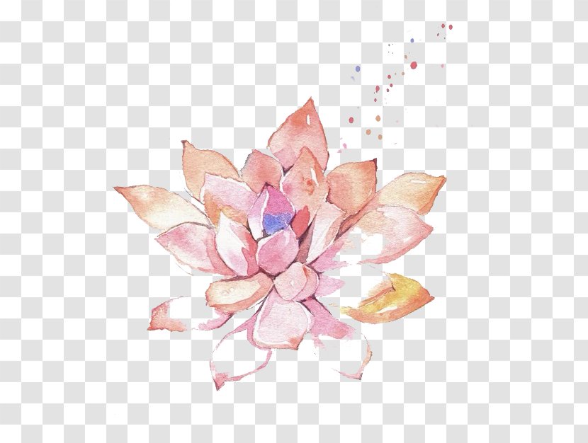 Watercolor Painting Flower Clip Art - Arranging - Meat Transparent PNG