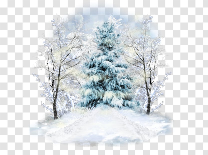 Spruce Winter Centerblog Image - Freezing - Country Setting Bel Air Transparent PNG