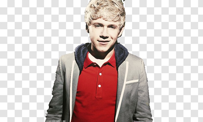 Niall Horan The X Factor One Direction Photography Transparent PNG