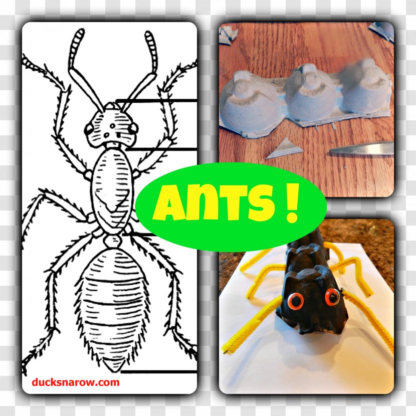 Ant Insect Bee Human Body Arthropod - Cartoon - Ants Transparent PNG