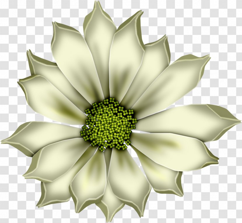 Motif Clip Art - Flowering Plant - Creative White Day Transparent PNG