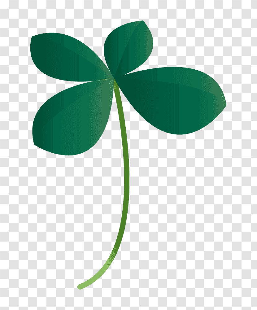 Four-leaf Clover Illustration Shamrock Graphics - Plants Transparent PNG