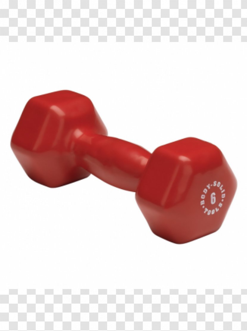 Dumbbell Barbell Physical Fitness Exercise Equipment Transparent PNG
