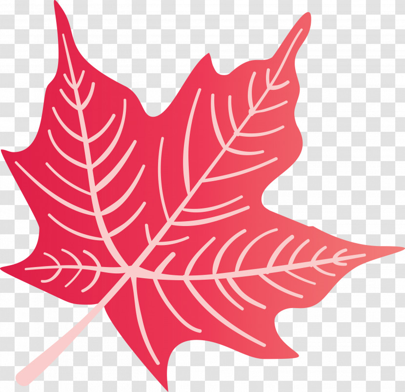 Autumn Leaf Colourful Foliage Colorful Leaves Transparent PNG