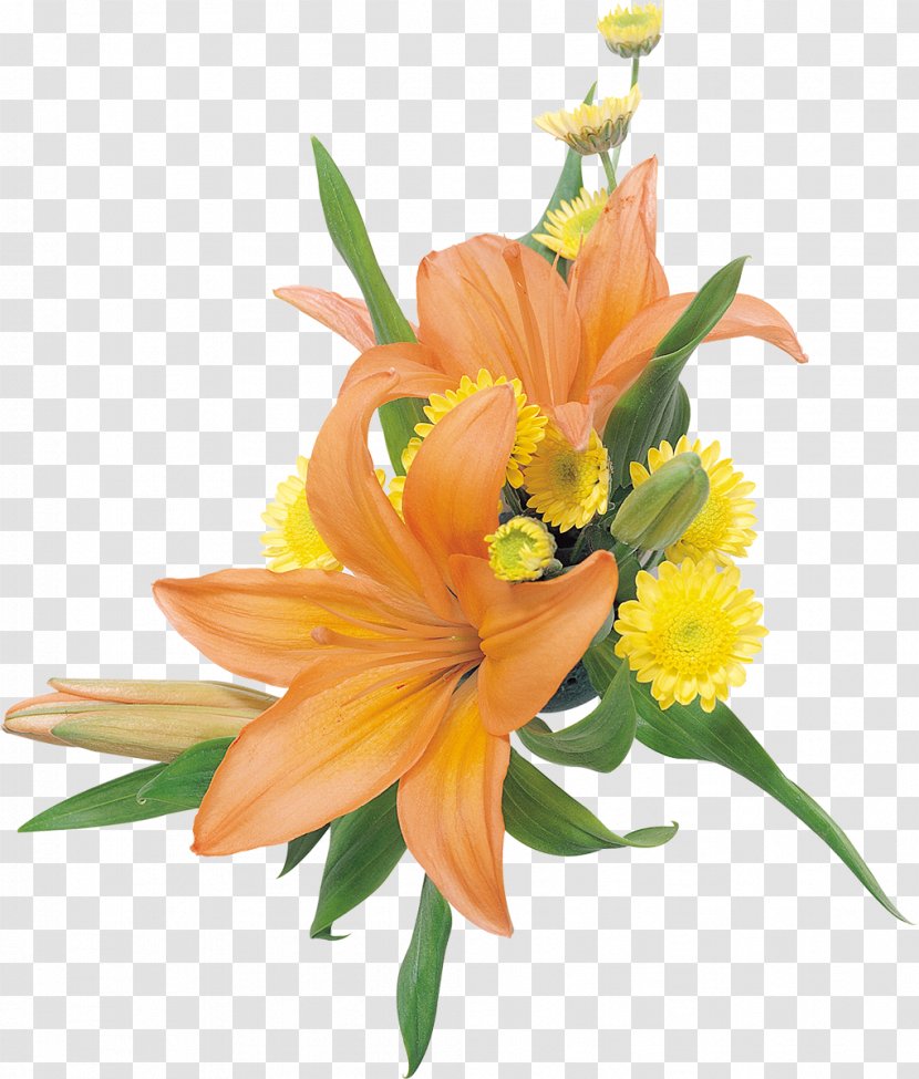 Cut Flowers Lilium Clip Art - Orange - Lilies Transparent PNG