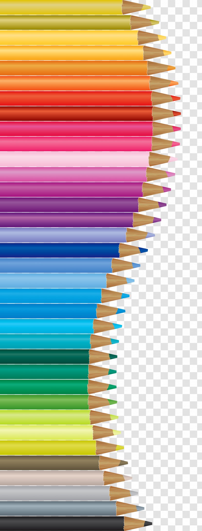 Colored Pencil Drawing Prismacolor - Coloring Book - Pencils Decor Vector Clipart Transparent PNG