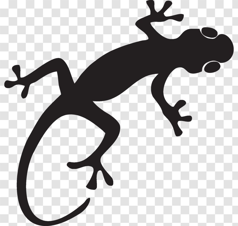 Lizard Gecko Reptile Silhouette - Amphibian Transparent PNG