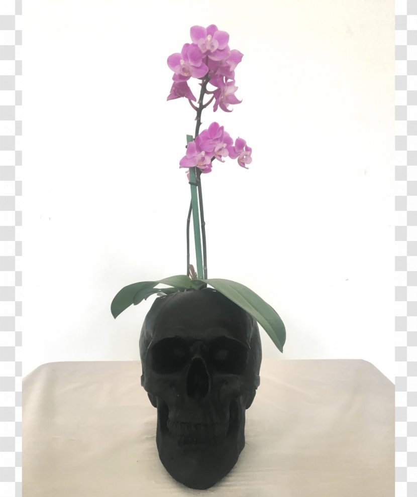 Moth Orchids Flowerpot Artificial Flower - Maceta Flores Transparent PNG