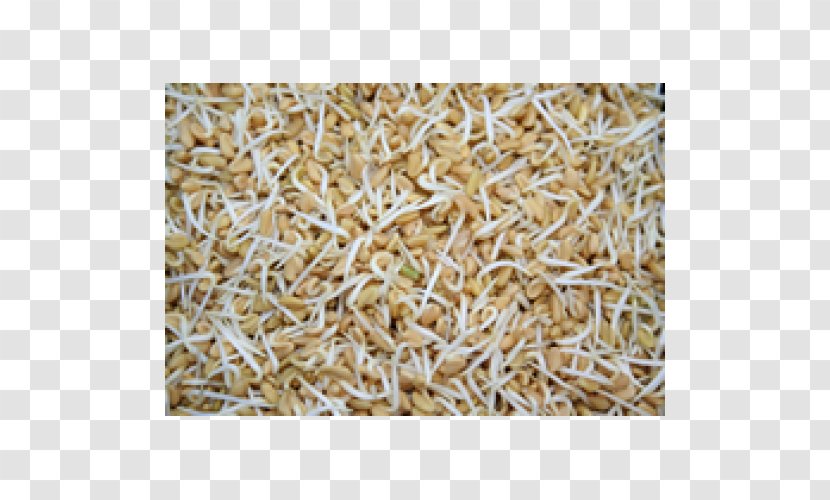 Oat Cereal Germ Straw Mixture - Whole Grain - Fenugreek Transparent PNG