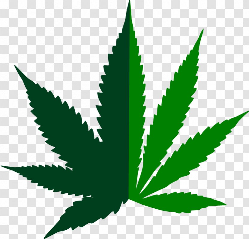 Medical Cannabis Ruderalis Hemp Clip Art - Kush Transparent PNG