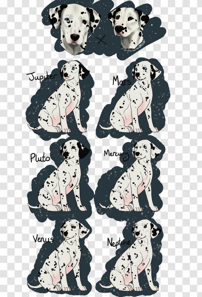 Dalmatian Dog Breed Puppy Non-sporting Group Illustration - Non Sporting - Thank You For Being Friend Transparent PNG
