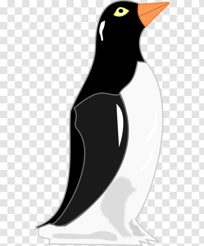 Penguin Drawing Clip Art - Wing Transparent PNG