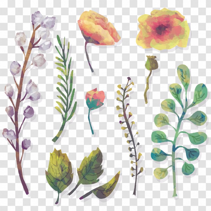 Watercolor: Flowers Watercolour Watercolor Painting - 11 Models Of Water Colored And Foliage Vector Material Transparent PNG