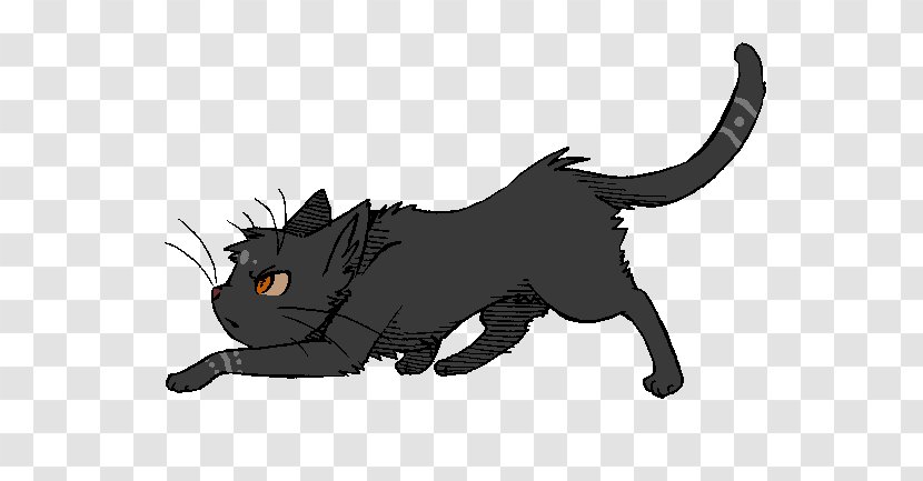 Kitten Black Cat Whiskers Warriors - Warrior Cats Transparent PNG