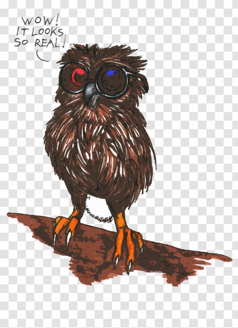 Owl Fauna Beak - Little Transparent PNG