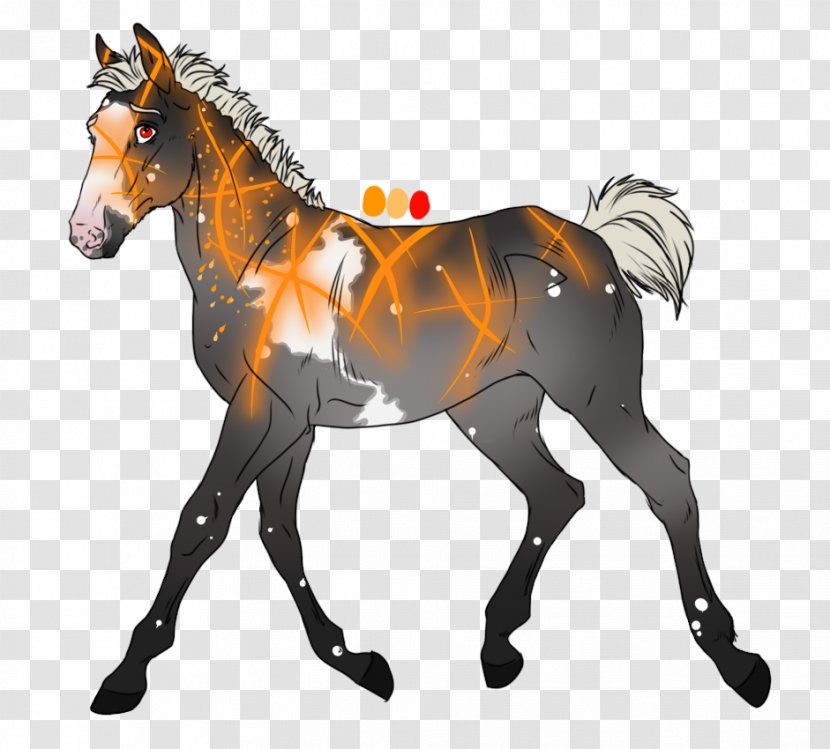 Foal Stallion Mare Mustang Colt Transparent PNG