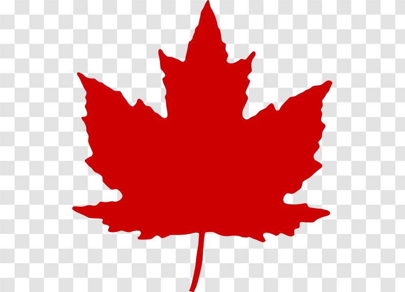 Maple Leaf Canada Clip Art - Color Transparent PNG