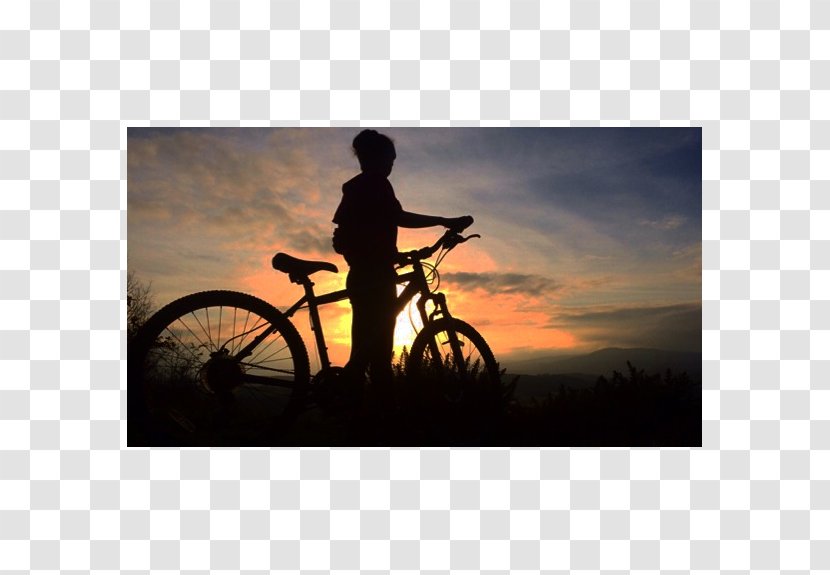 Road Bicycle Graphic Design Cropping Cycling - Mat - Opposite Of Transparent Transparent PNG