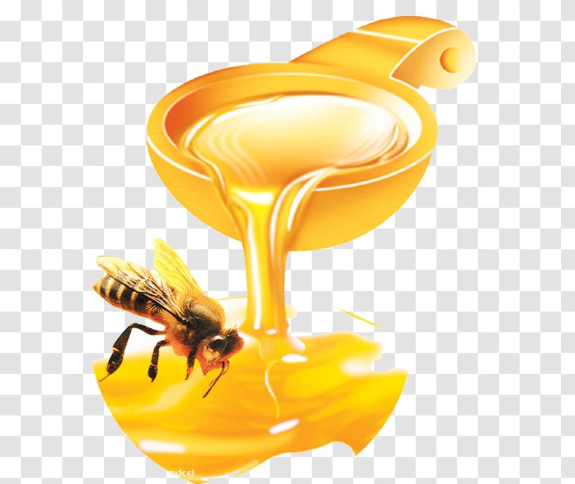 Western Honey Bee Royal Jelly Monofloral - M%c4%81nuka Transparent PNG