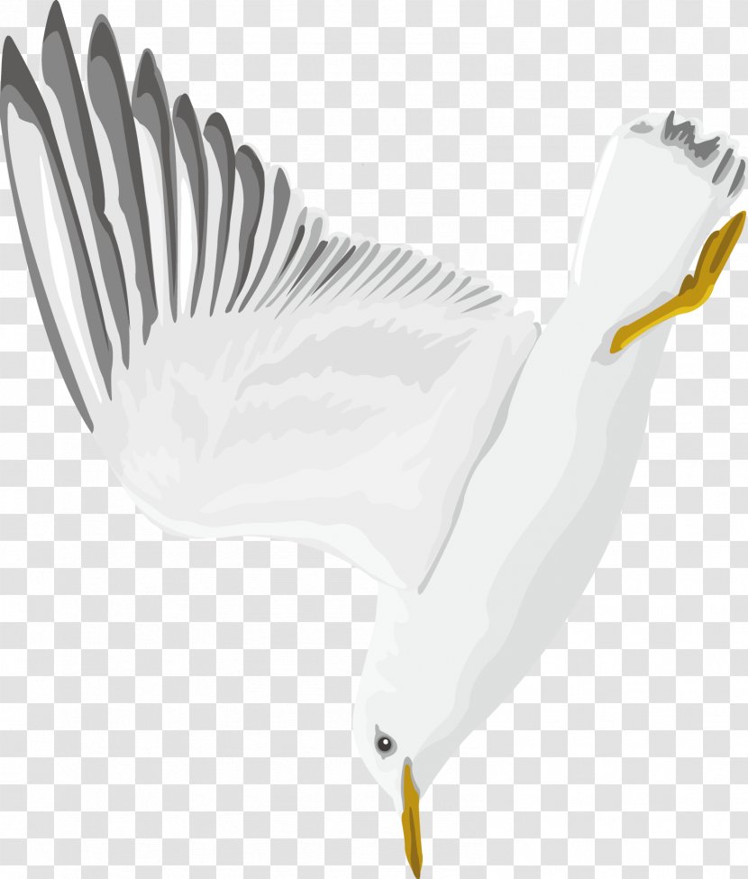 Swan Goose - Material - Wild Decoration Design Vector Transparent PNG