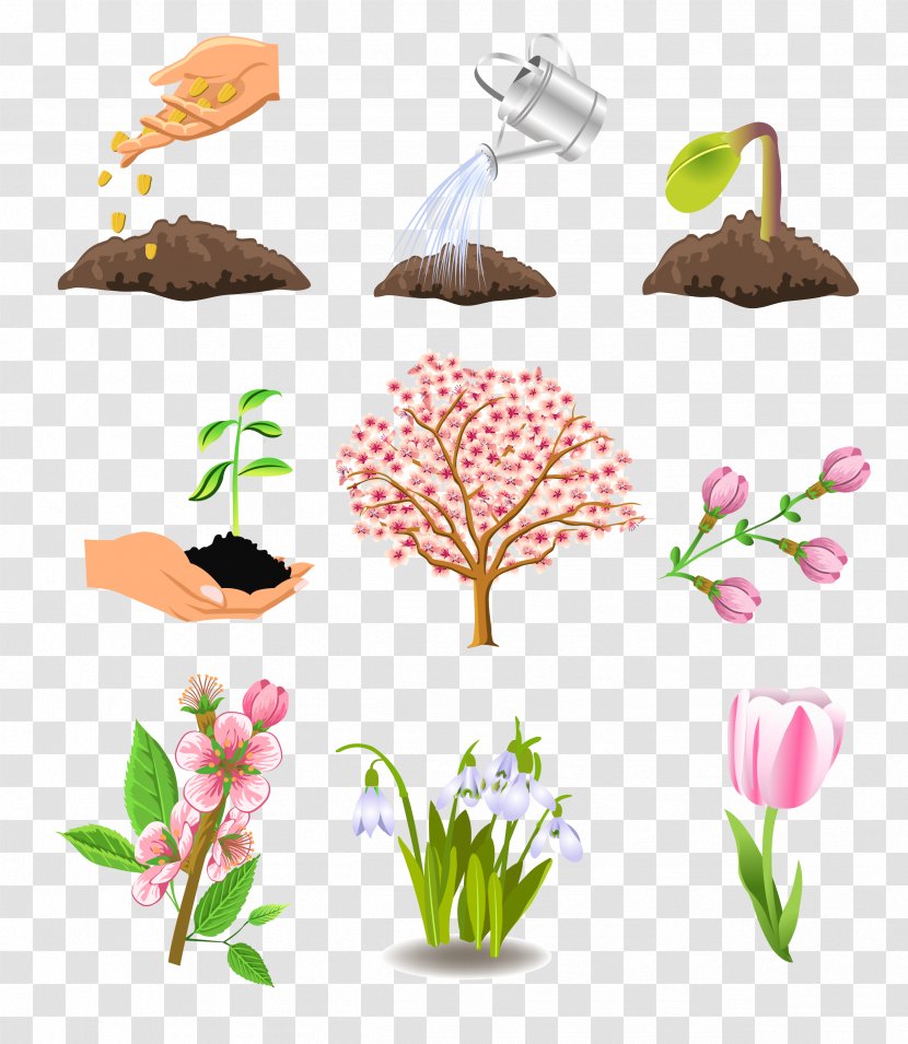 Plant Tree Season Autumn - Vine - Vector Watering Growth Transparent PNG