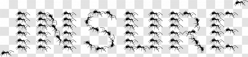 SafeSearch Monochrome Photography Black And White - Ants Transparent PNG