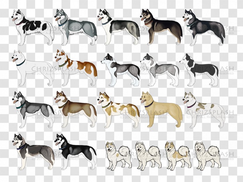 Dog Breed Non-sporting Group Snout - Animal Figure Transparent PNG