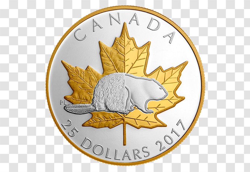 Silver Coin Gold Plating - Maple Leaf Transparent PNG