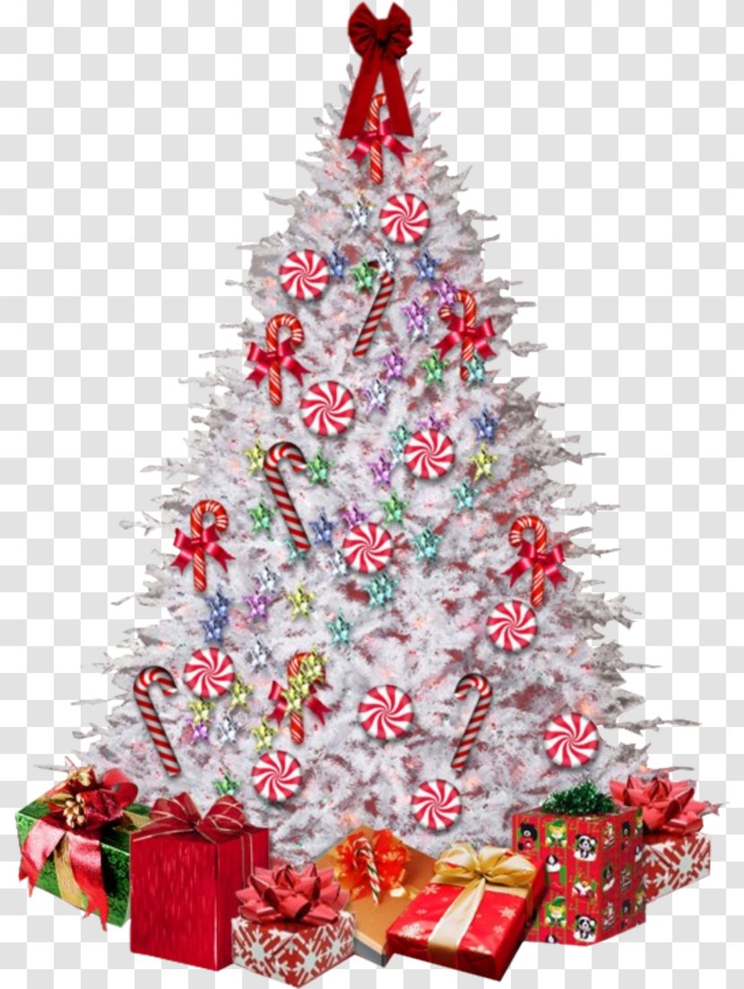 Christmas Tree Fir Ornament - Fandom Transparent PNG