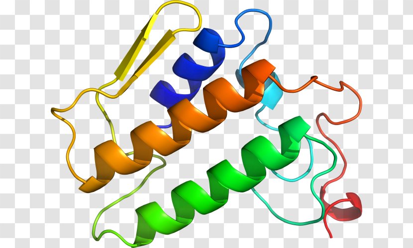 Organism Line Clip Art - Artwork - Phospholipase A2 Transparent PNG