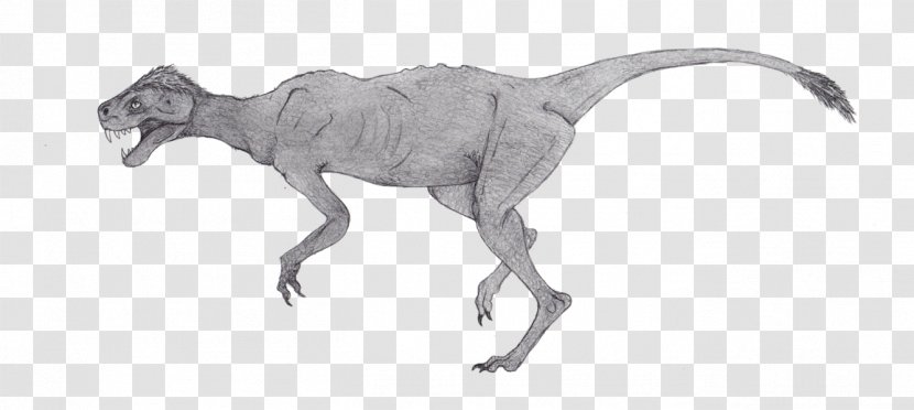 Velociraptor Animal Common Warthog Desert /m/02csf - Line Art - Deinonychus Symbol Transparent PNG