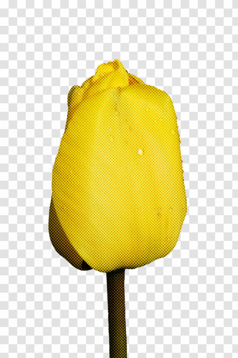 Flower Tulip Petal Yellow Plants Transparent PNG