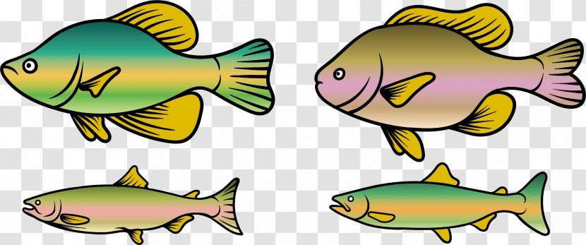 Rainbow Trout Fish Clip Art - Seafood - Economic Fishes Transparent PNG