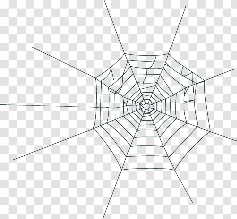 Spider Web Halloween - Line Art - Diagram Blackandwhite Transparent PNG