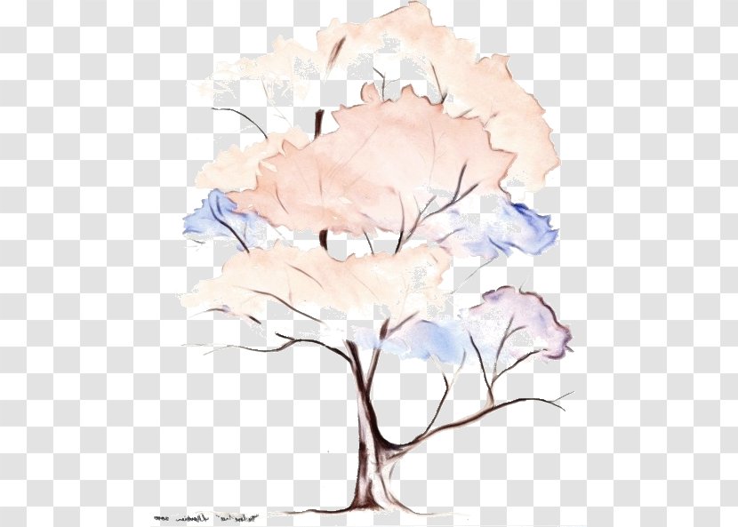 Tree Of Life - Rose Family - Cornales Transparent PNG