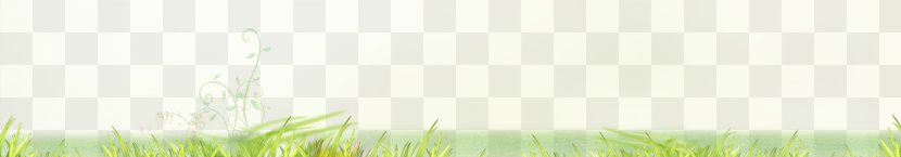Energy Sunlight Wallpaper - Plant Stem - Grass Background Transparent PNG